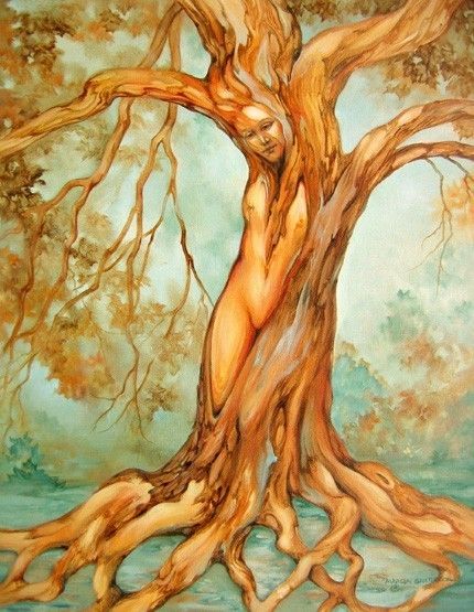 Master Plant Dieta ~ The Animate Heart of Amazonian Curanderismo  Deep  Earth Dreaming
